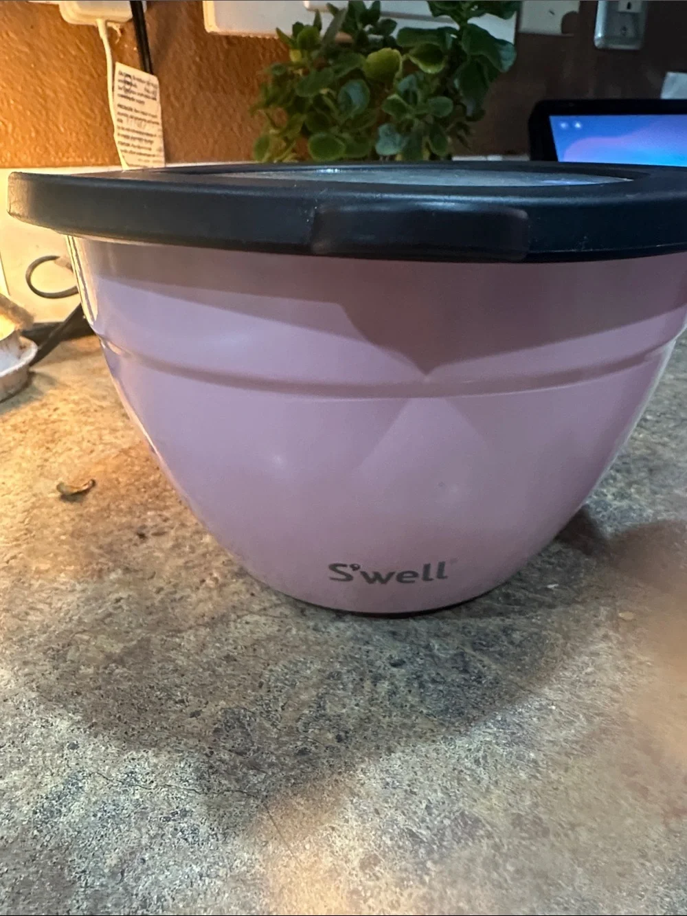 S'well Pink Insulated Bottle and Matching Food Bowl Set